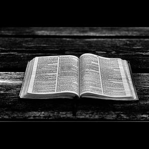 Meet your Posher, Lucas